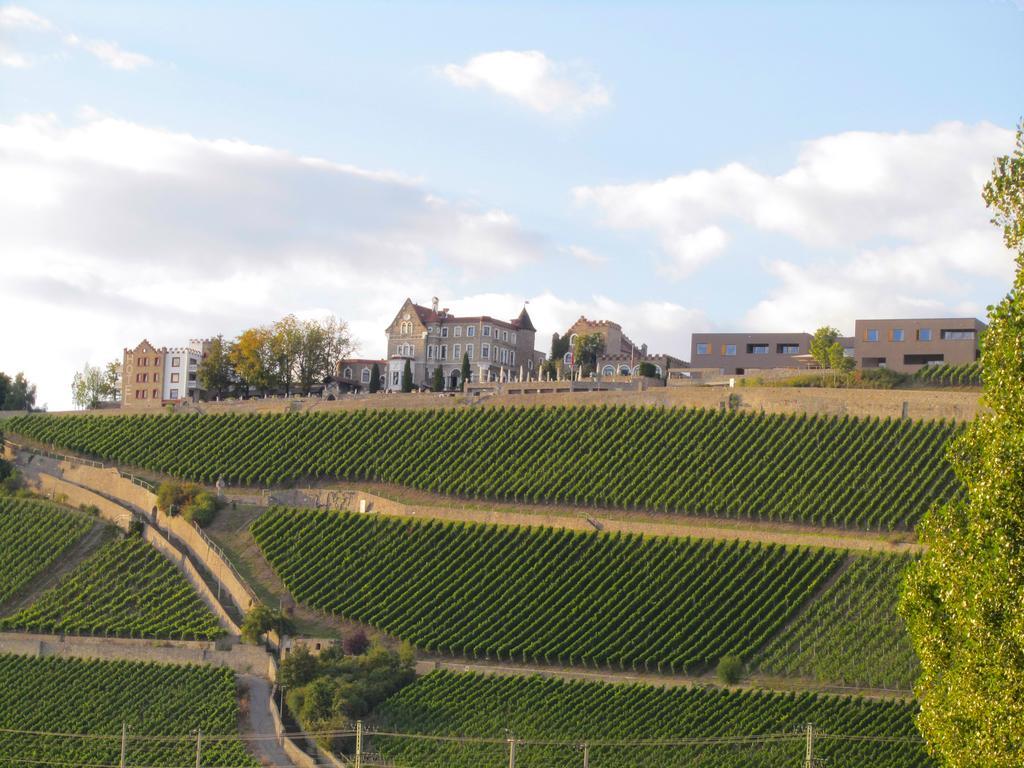 Schlosshotel Steinburg Wurzburg Bagian luar foto