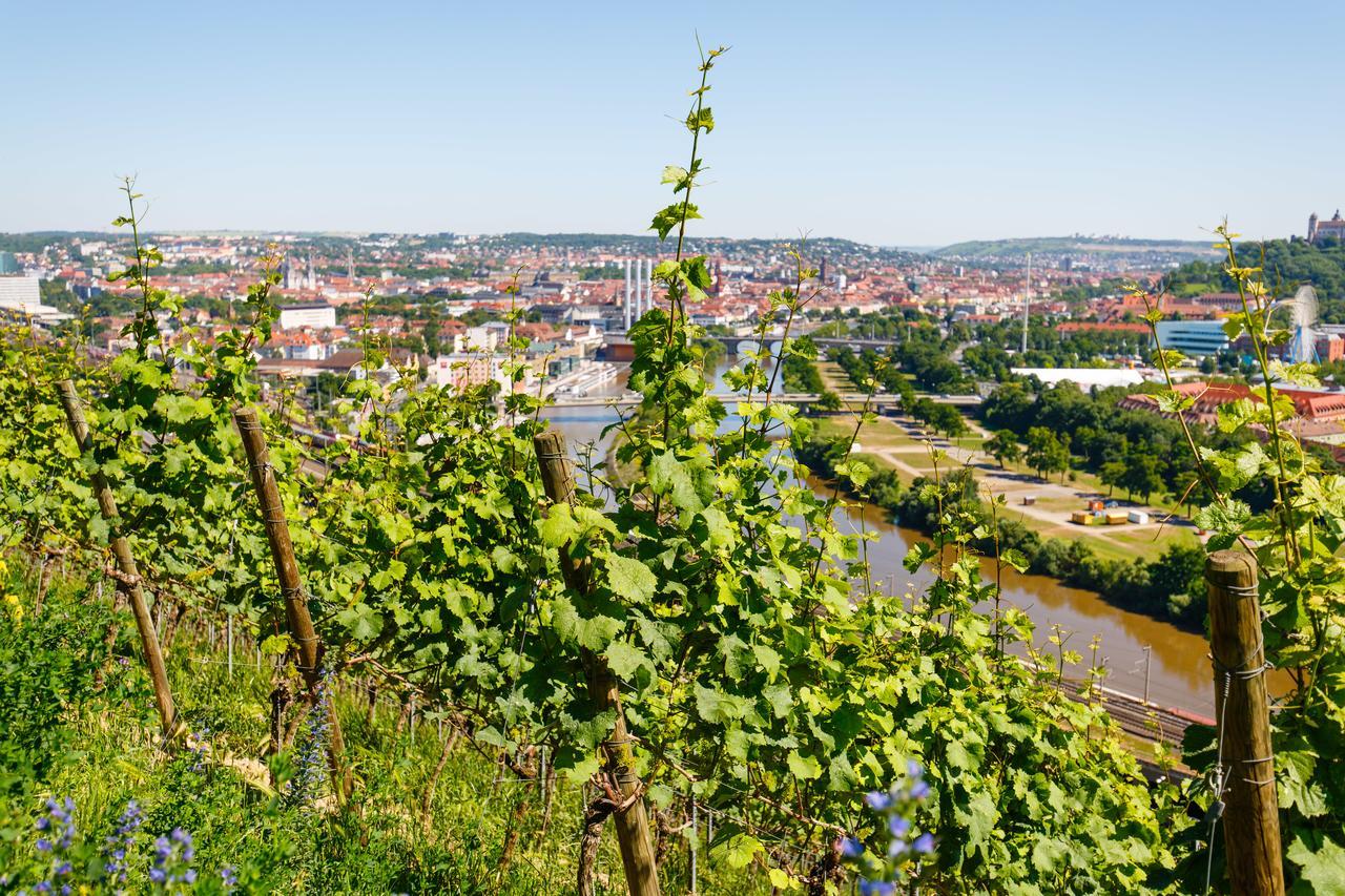 Schlosshotel Steinburg Wurzburg Bagian luar foto